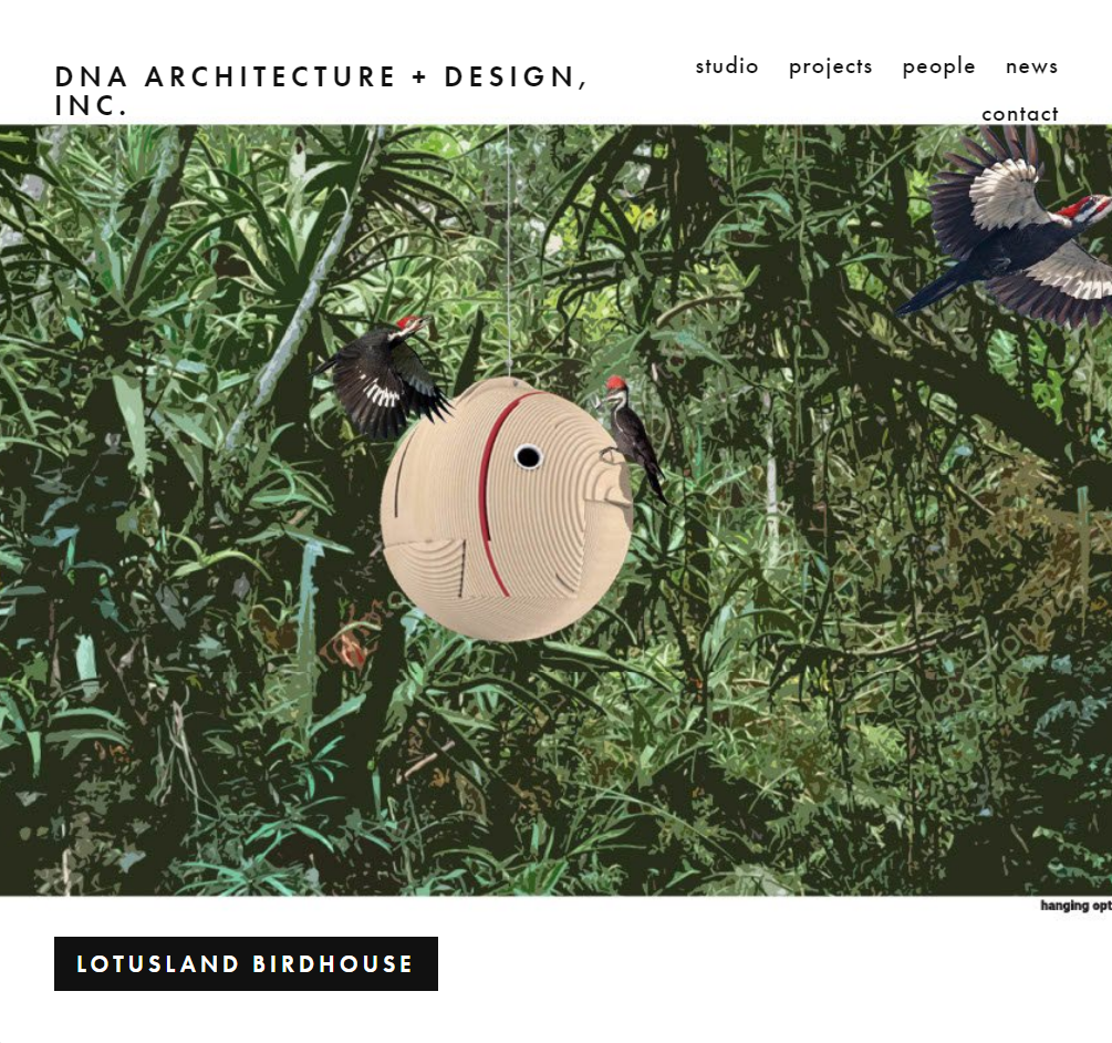 DNA Architecture + Design, Inc.